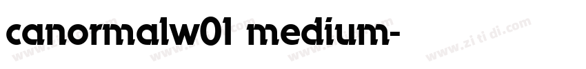 canormalw01 medium字体转换